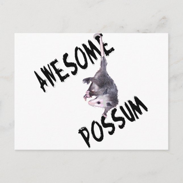 Cartão Postal Incrível Possum Ogambm (Frente)
