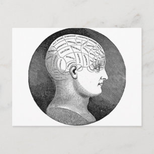 Cartão Postal Incrível Vintage Art Phrenology head Diagrama