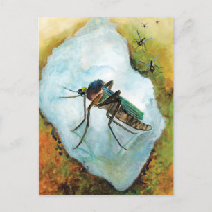 Cartão Postal Indecente Mosquito Summer Delight