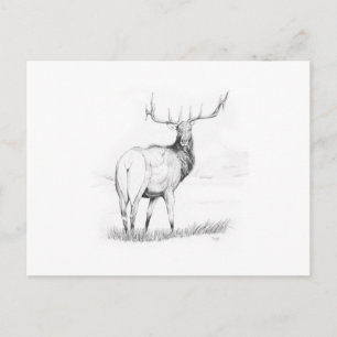 Cartão Postal Indecisão