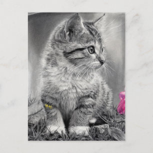 Cartão Postal indefinido