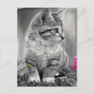 Cartão Postal indefinido