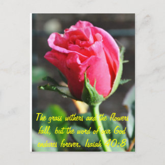 Cartão Postal indefinido