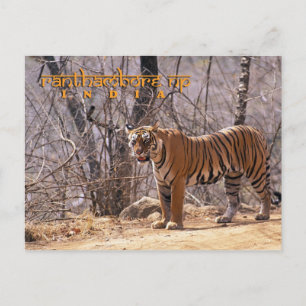 Cartão Postal Índia