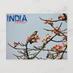 Cartão postal - Índia - Kolkata - Primavera indi