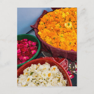 Cartão Postal Índia, Rajasthan, Pipar