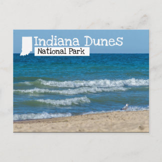 Cartão Postal Indiana Dunes National Park Beach