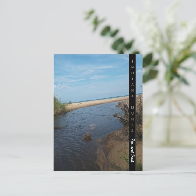 Cartão Postal Indiana Dunes National Park Scemic Creek Foto Pos (Em pé/Frente)