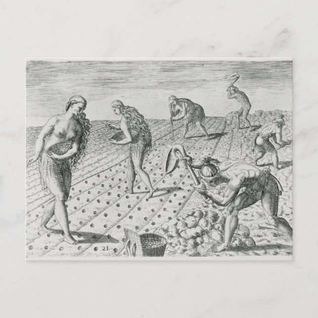 Cartão Postal Índios da Flórida plantando milho (Frente)