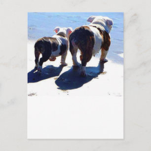 Cartão Postal Inglês Buldogue e Puppy