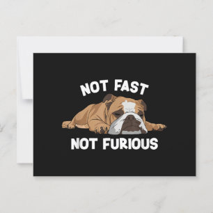 Cartão Postal Inglês Bulldog Dormindo Não Rápido Não É Fundão Fu