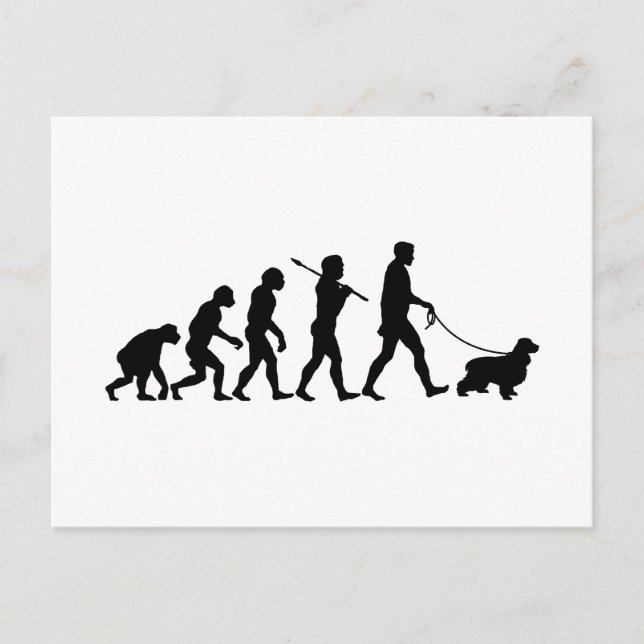 Cartão Postal Inglês Cocker Spaniel (Frente)