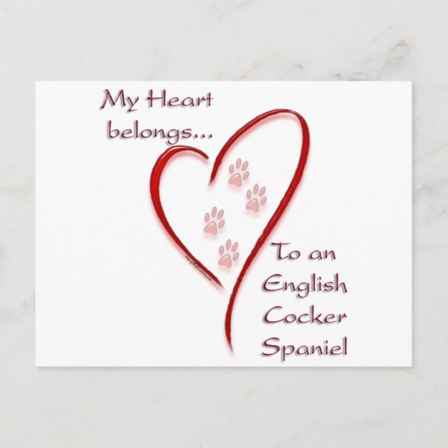 Cartão Postal Inglês Cocker Spaniel Hearts Pertence (Frente)