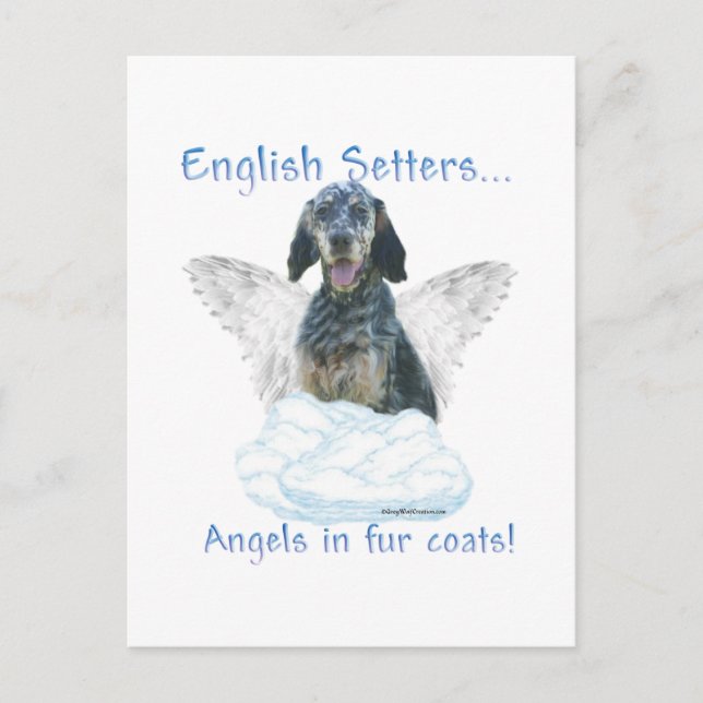 Cartão Postal Inglês Setter Angel (Frente)