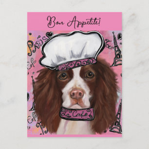 Cartão Postal Inglês Springer Spaniel
