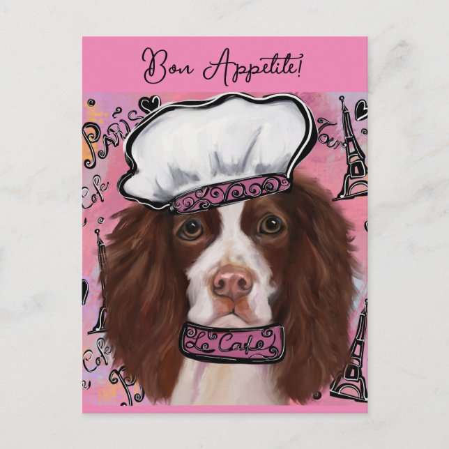 Cartão Postal Inglês Springer Spaniel (Frente)