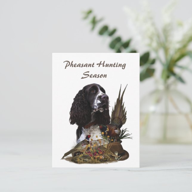 Cartão Postal Inglês Springer Spaniel com faisão (Em pé/Frente)