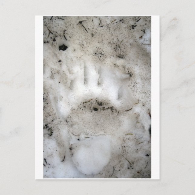 Cartão Postal início da estação (Frente)