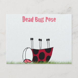 Cartão Postal Inseto de Ladybug engraçado Yoga Pose