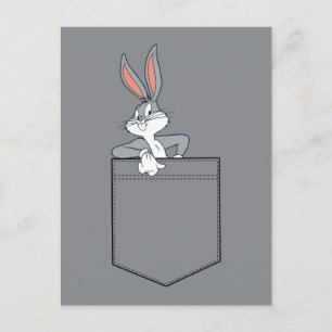 Cartão Postal INSETOS BUNNY™ Saindo No Bolso