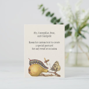 Cartão Postal Insetos de Jardim, Mosca, Lagarta, Pera, Centopéia