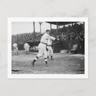 Cartão Postal Insetos Raymond Pittsburgh Pirates Baseball