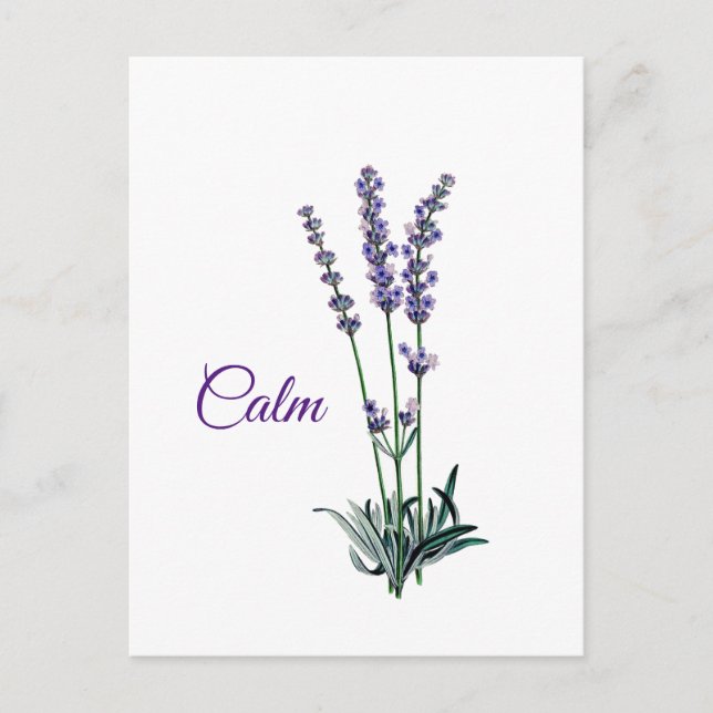 Cartão Postal Inspiração de Calma da lavanda (Frente)