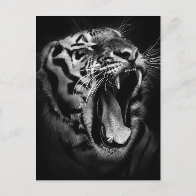 Cartão Postal Inspiração de Tigre Preto e Branco (Frente)