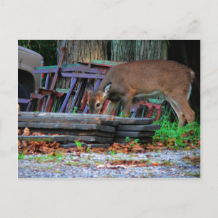 Cartão Postal Integração urbana