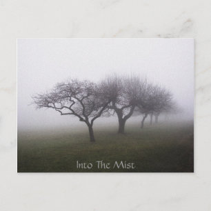 Cartão Postal Into The Mist