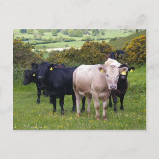 Cartão Postal Invasão