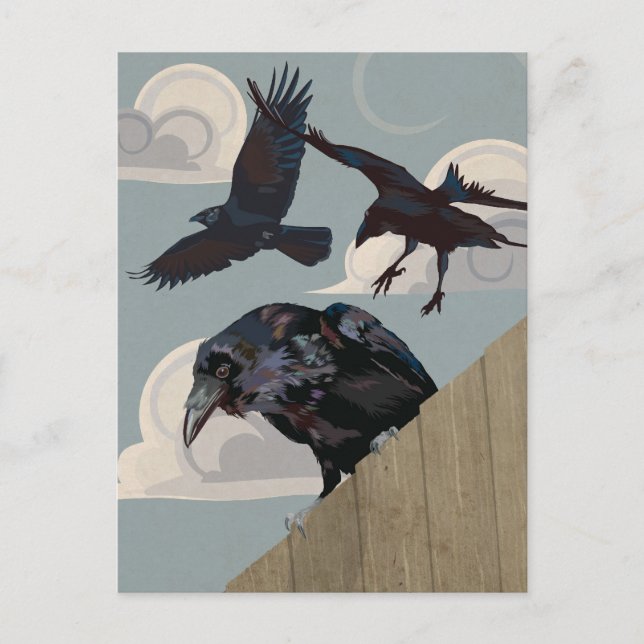 Cartão Postal Invasão de corvos (Frente)