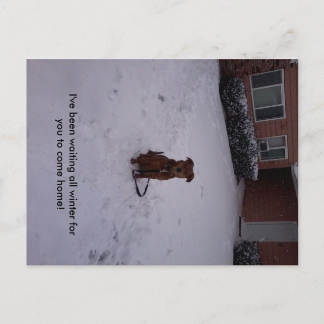 Cartão Postal Inverno (Frente)