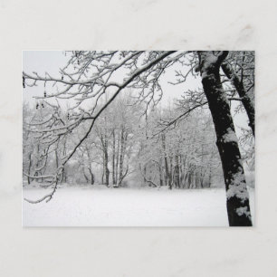 Cartão Postal inverno
