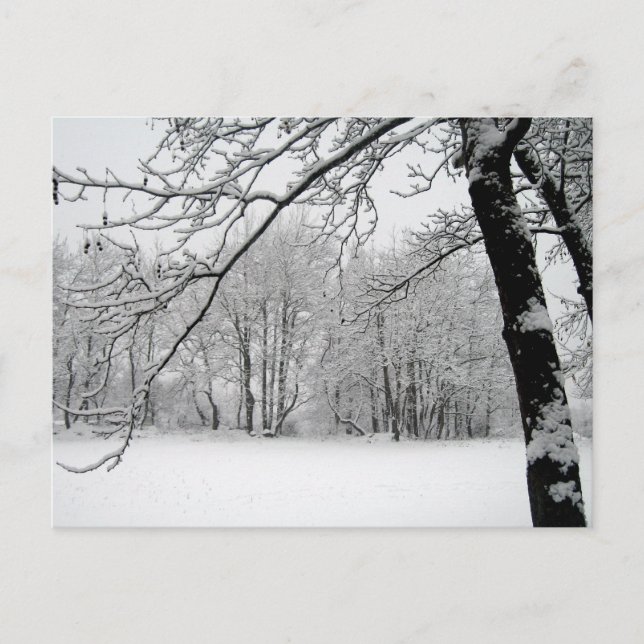 Cartão Postal inverno (Frente)