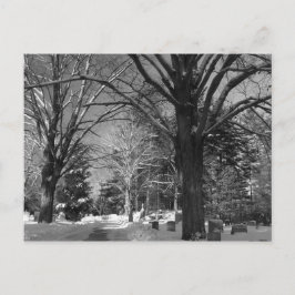 Cartão Postal Inverno da Nova Inglaterra