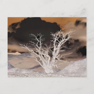 CARTÃO POSTAL INVERNO DE MONTANHA