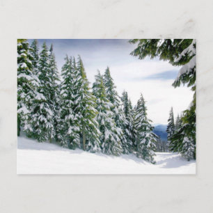 Cartão Postal Inverno de Oregon