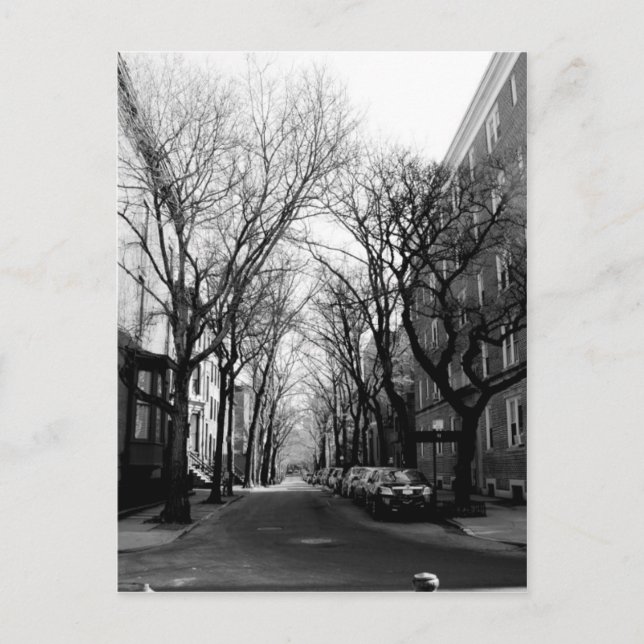 Cartão Postal Inverno em Brookly, NY (Frente)
