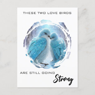 Cartão Postal *~* Inverno FOTO Pássaros do Amor AP54 Aniversário