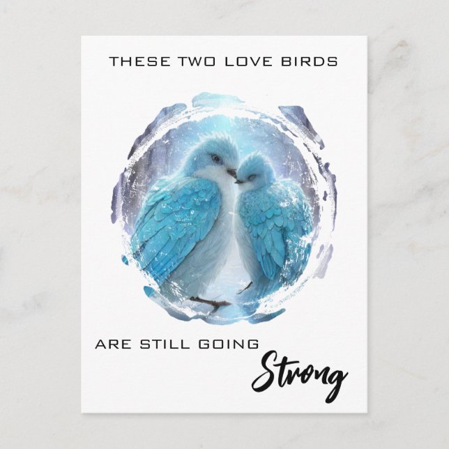 Cartão Postal *~* Inverno FOTO Pássaros do Amor AP54 Aniversário (Frente)