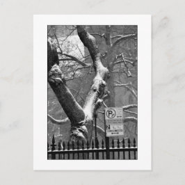 Cartão postal "Inverno na Cidade"