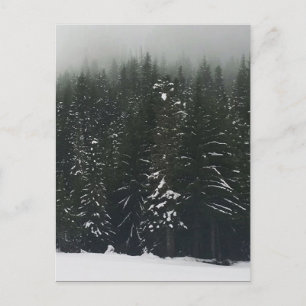 Cartão Postal Inverno na Floresta das Montanhas