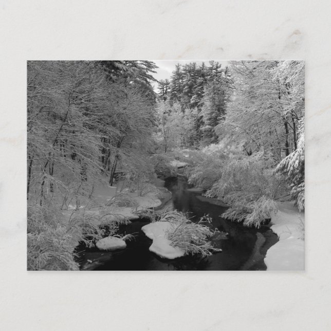 Cartão Postal Inverno na Nova Inglaterra (Frente)