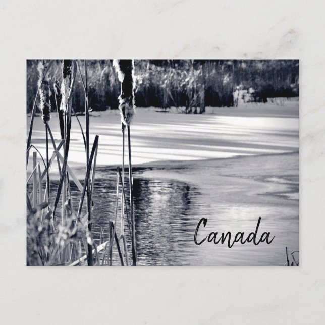 Cartão Postal Inverno neve sombra preto branco Canadá Souvenir (Frente)