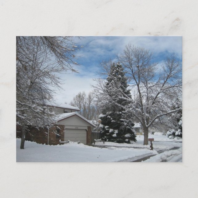 Cartão Postal Inverno no Colorado (Frente)