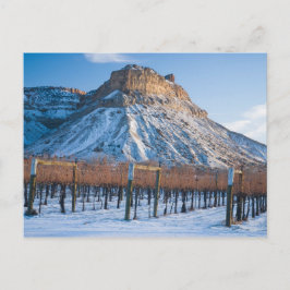 Cartão Postal Inverno no Colorado Wine Country