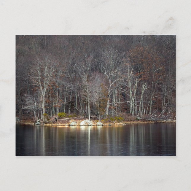 Cartão Postal Inverno nuclear (Frente)