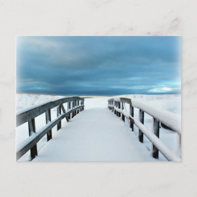 Cartão Postal Inverno tropical (Frente)