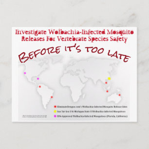 Cartão Postal Investigate Wolbachia Postcard de RoseWrites